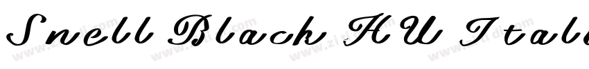 Snell Black HU Itali字体转换